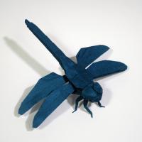 Complex Dragonfly