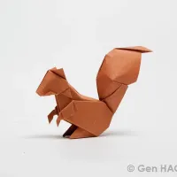 Squirrel