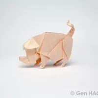 Pig
