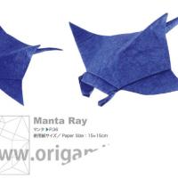 Manta Ray