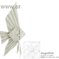Angelfish