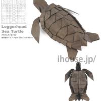 Loggerhead Sea Turtle