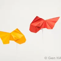 Goldfish