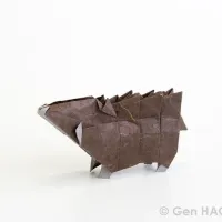 Boar