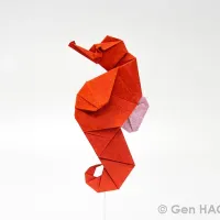 Seahorse