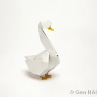 Swan