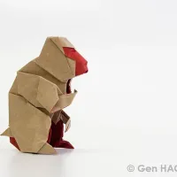 Japanese Macaque