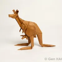 Kangaroo 2013