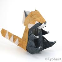 Red Panda