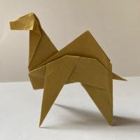 Arabian Camel