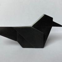 Pigeon, Crow, Pheasant and Paddybird