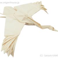 Crane