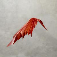 uccello del fuoco