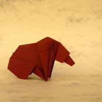 orso