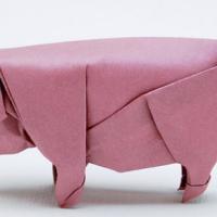Schwein