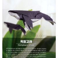 Humpback Whale
