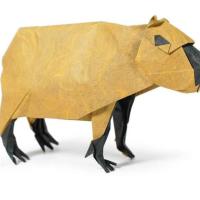 Capybara