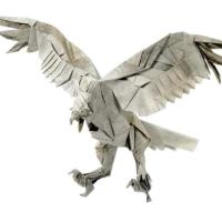 Harpy Eagle