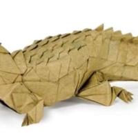 Caiman