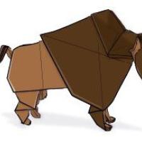 Bison