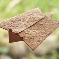 flying squirrel