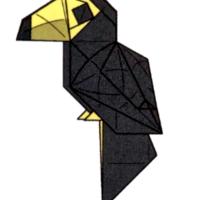 Toucan