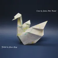 Swan