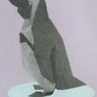 African Penguin