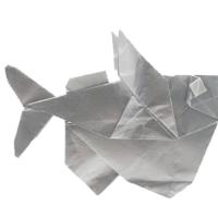Atlantic silver hatchetfish