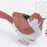 Sparrow Bird