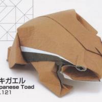 Japanese Toad
