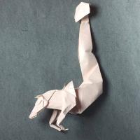 Hippocampus