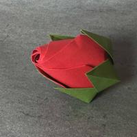 Rosebud