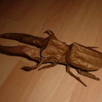 Cyclommatus metalifer 2.0