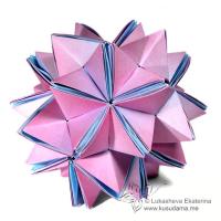 Hoya