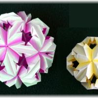 Chrysanthemum Ball