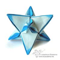 Trifoliata