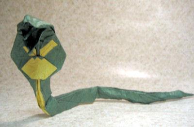 Cobra