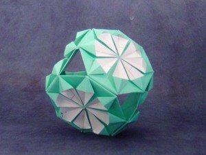 Chrysanthemum kusudama