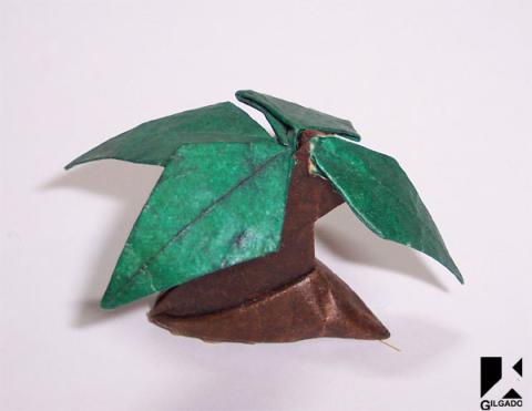 Jurassic plant
