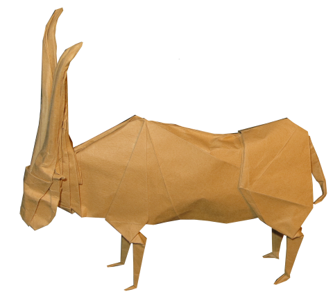 Oryx