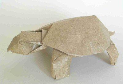Tortoise