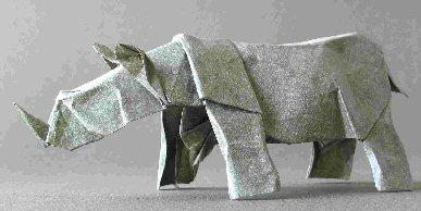 Rhinoceros