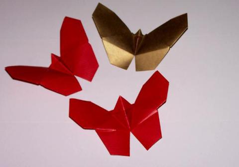 Butterfly