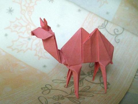 camel