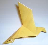 Peace dove
