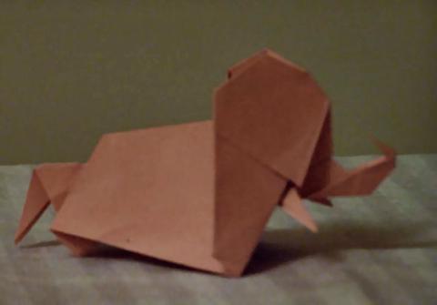 Elephant