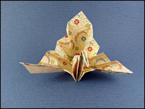 Crane - congratulations