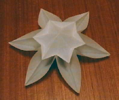 Snow flower (hexagon)