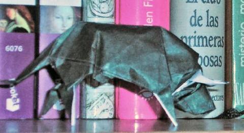 Bull